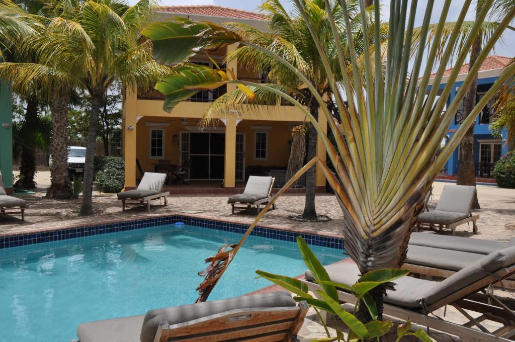 a pool with chairs and a palm tree in front of a house at Casa Makoshi Bonaire in Kralendijk