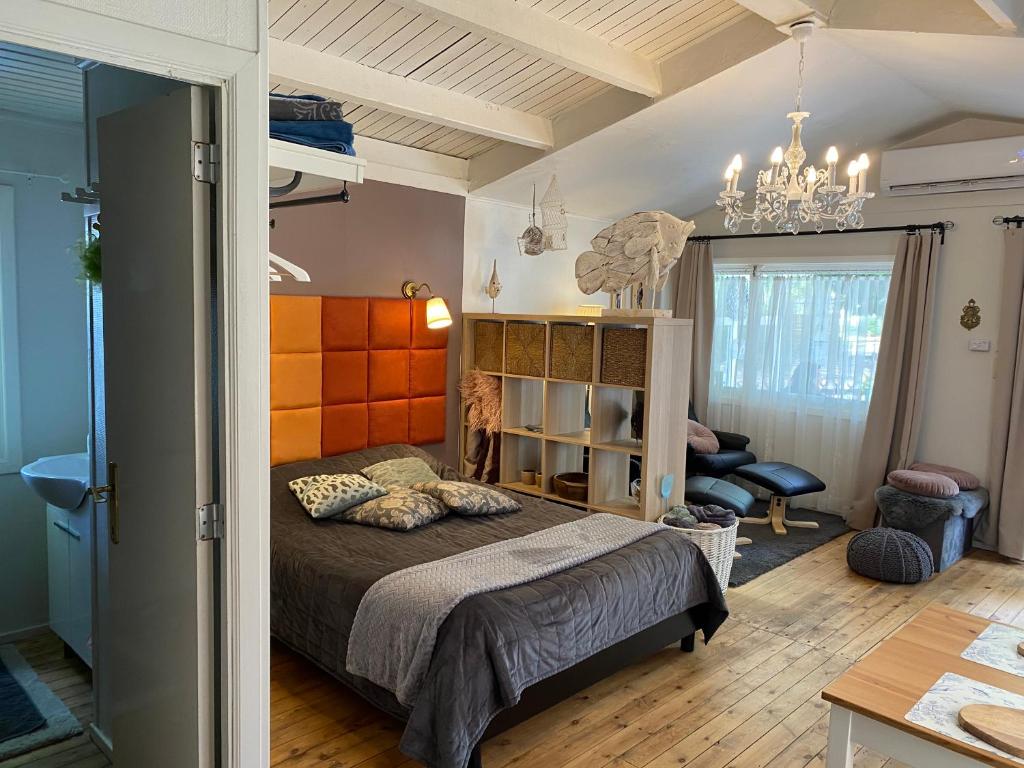 1 dormitorio con 1 cama y sala de estar en Vakantiehuisje De Waterhoek, en Geel