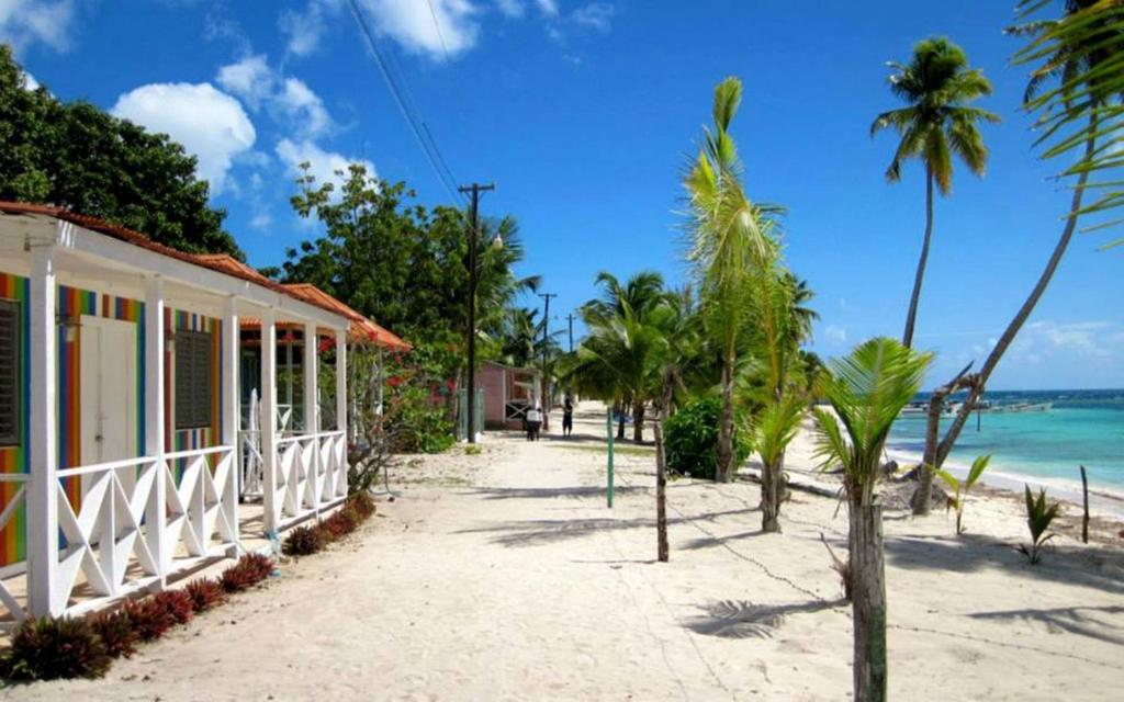a street in front of a beach with palm trees at Casa Rural El Paraíso de Saona in Mano Juan
