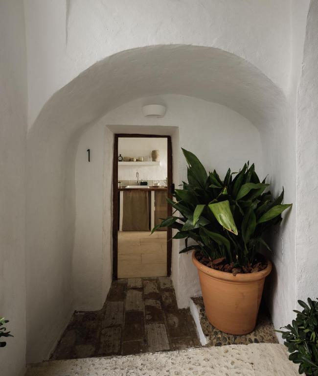 Casablanca Vejer Baño Termal - 9