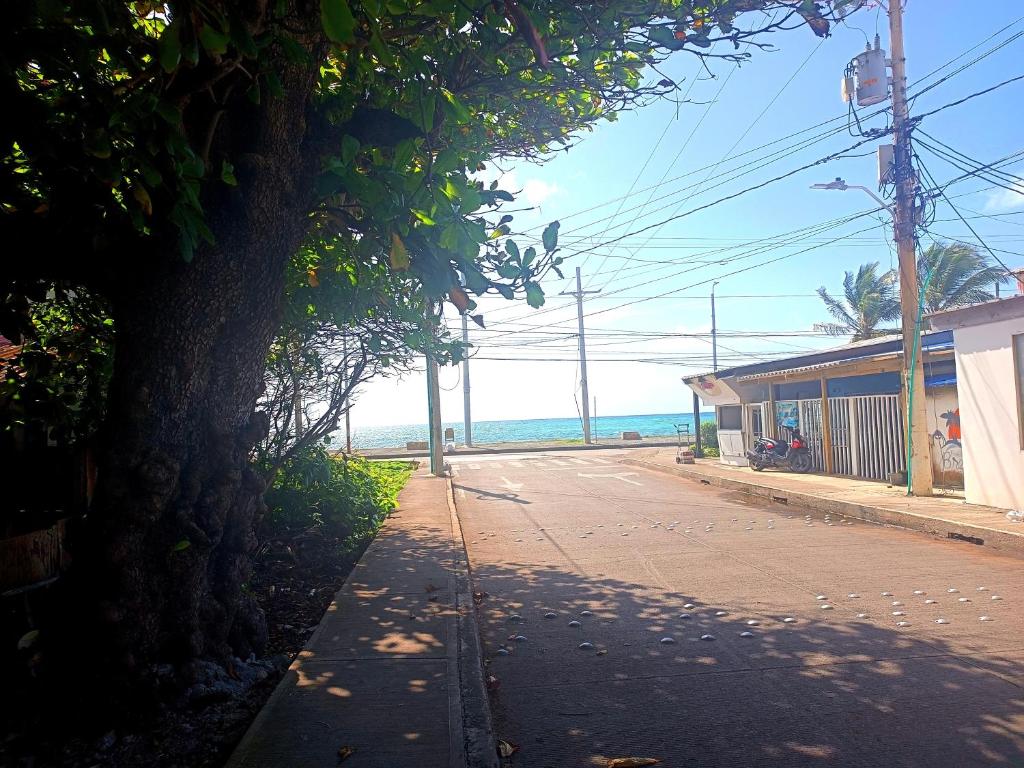 eine leere Straße mit einem Baum am Meer in der Unterkunft Posada Nativa Green Sea San Luis in Buenavista