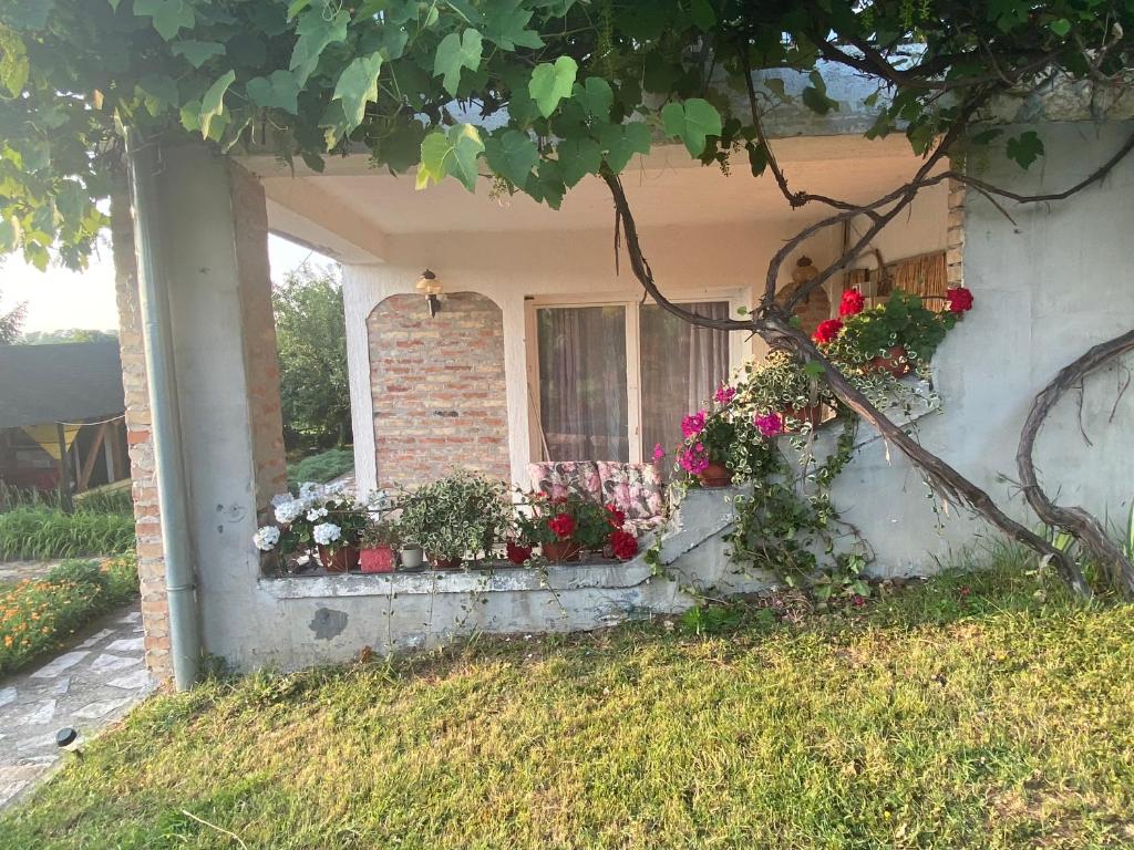 Vila Nika - Housity
