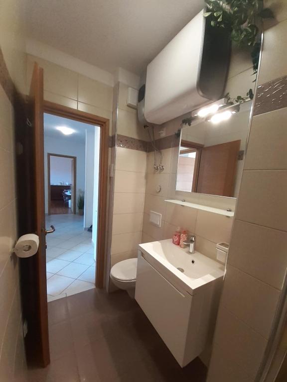 Koupelna v ubytování Apartman Gara