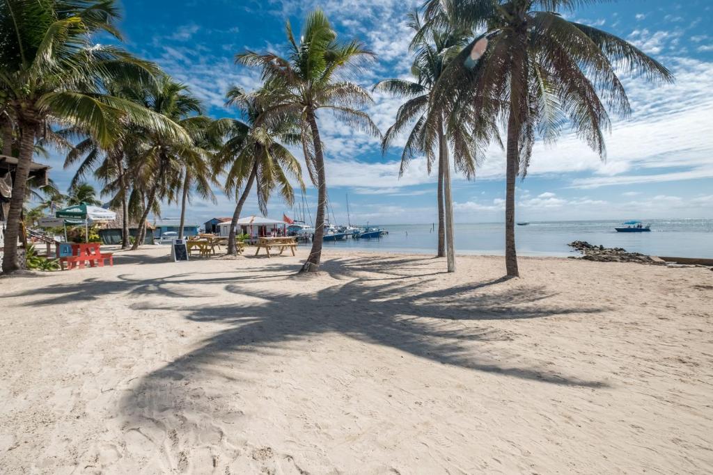 un grupo de palmeras en una playa de arena en Holiday Hotel, en San Pedro