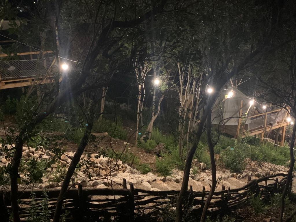 Fotografie z fotogalerie ubytování Bigova Glamping v destinaci Kotor