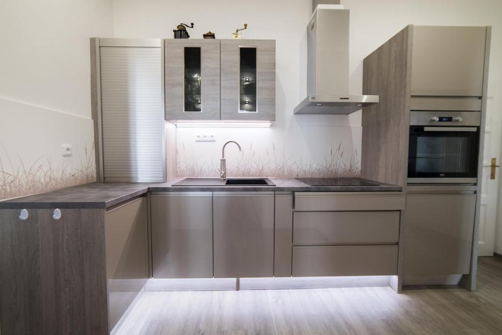 Kuchyň nebo kuchyňský kout v ubytování Apartmán Gabrielova