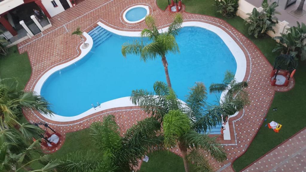 een uitzicht over een zwembad met palmbomen bij Precioso Atico a pie de playa con piscina. in Motril