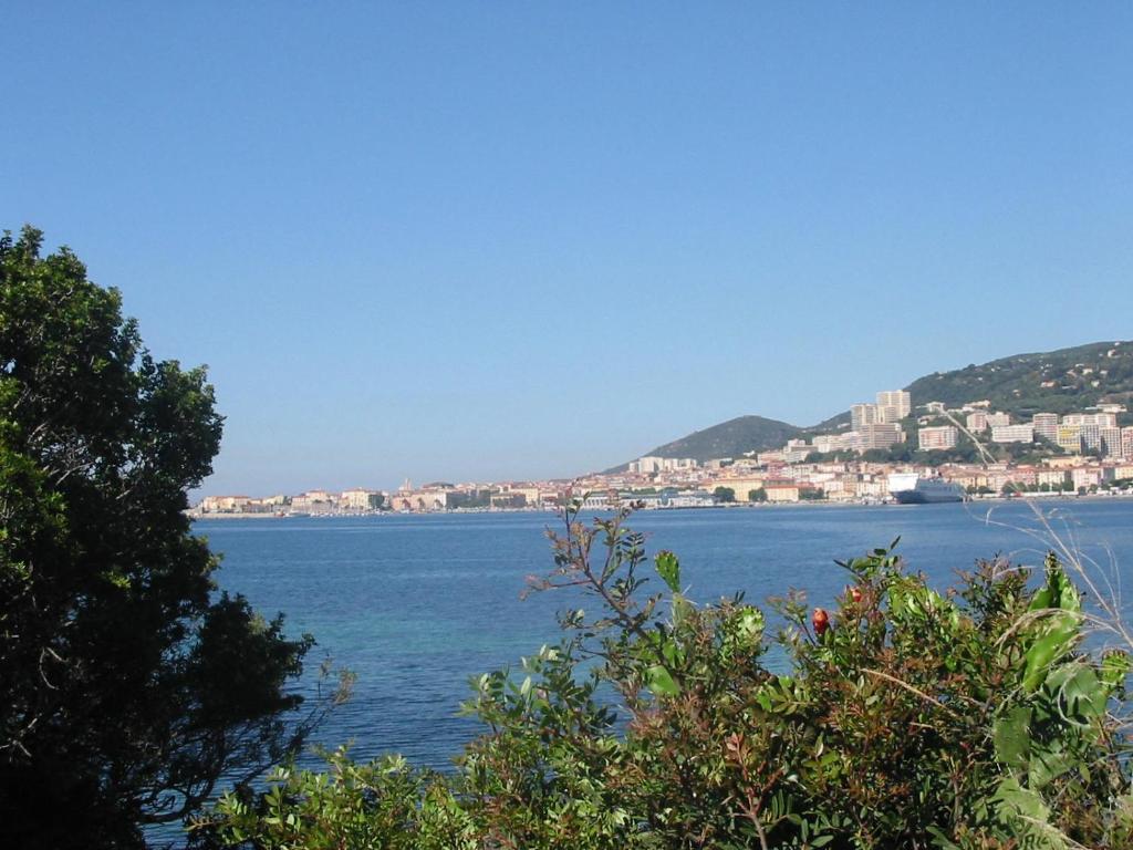 Blick auf einen großen Wasserkörper mit Häusern in der Unterkunft Rez de villa Aspretto Lazaret in Ajaccio