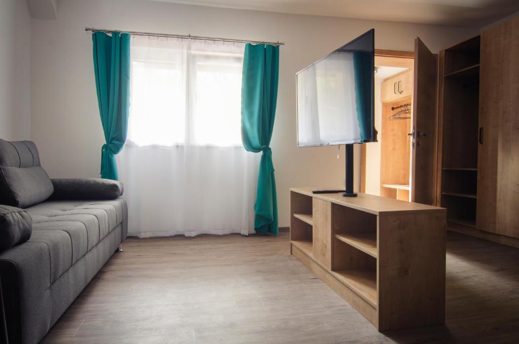 TV a/nebo společenská místnost v ubytování Apartments with Private Saunas & WELLNESS Gobi
