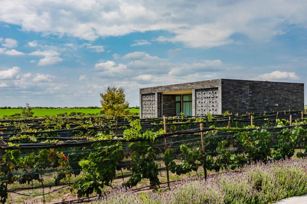 Fotografie z fotogalerie ubytování Casa Raíces Hotel Luxury & Viñedo v destinaci Los Galvanes