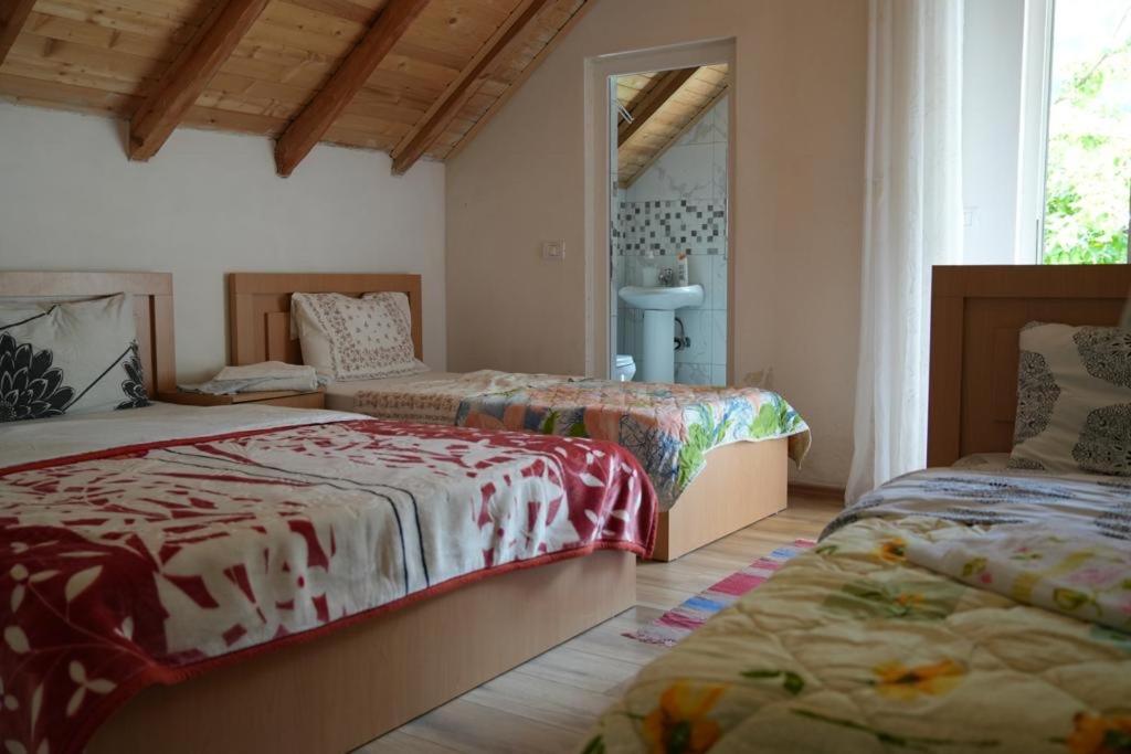 1 dormitorio con 2 camas y ventana en Guesthouse Skender Selimaj en Valbonë