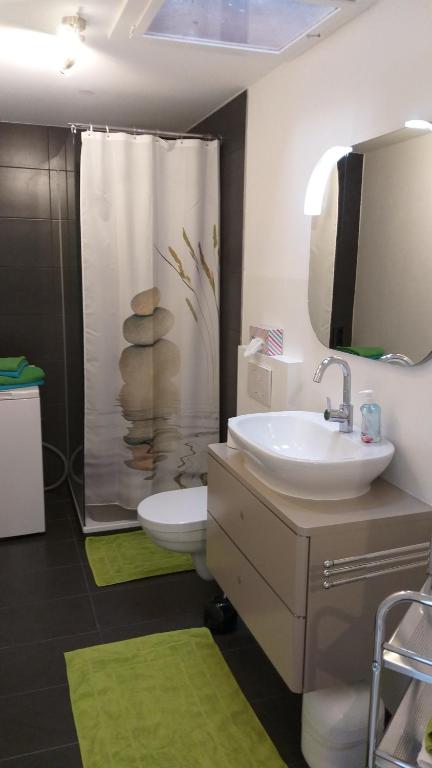 Koupelna v ubytování 2 Schlafzimmerwohnung bei Frankfurt am Main