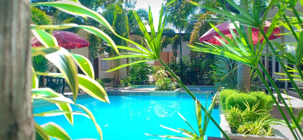 a swimming pool with plants in front of a building at Softstone resort in Panglao Island