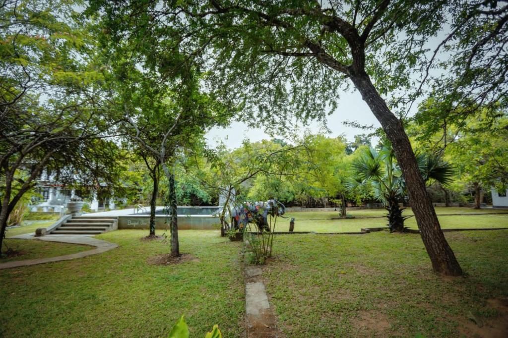 Zahrada ubytování Hotel Sigiriya Kele