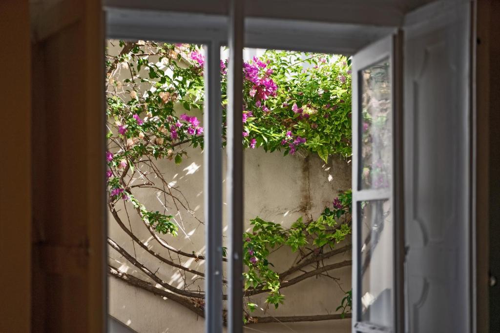 Jardí fora de Relais Corte Palmieri & Il Chiostro - Residenza d'epoca