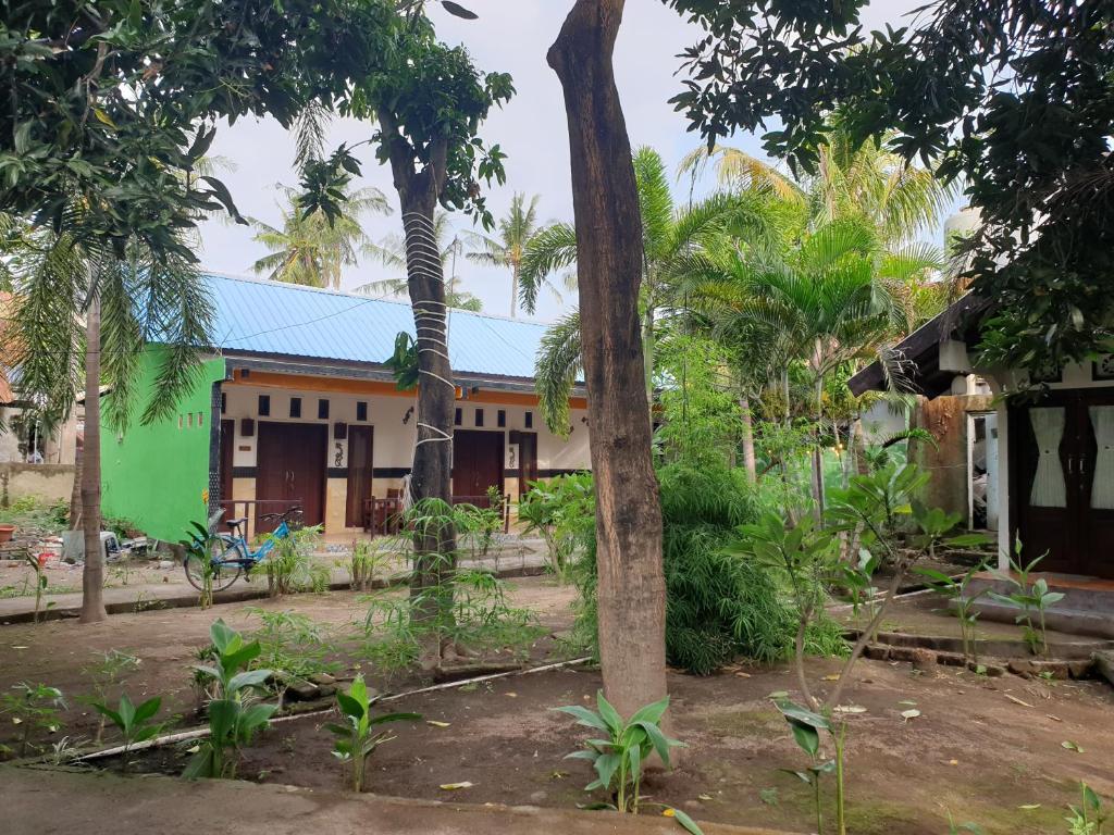 a green building with a palm tree in front of it at Five Time Home Stay in Gili Islands