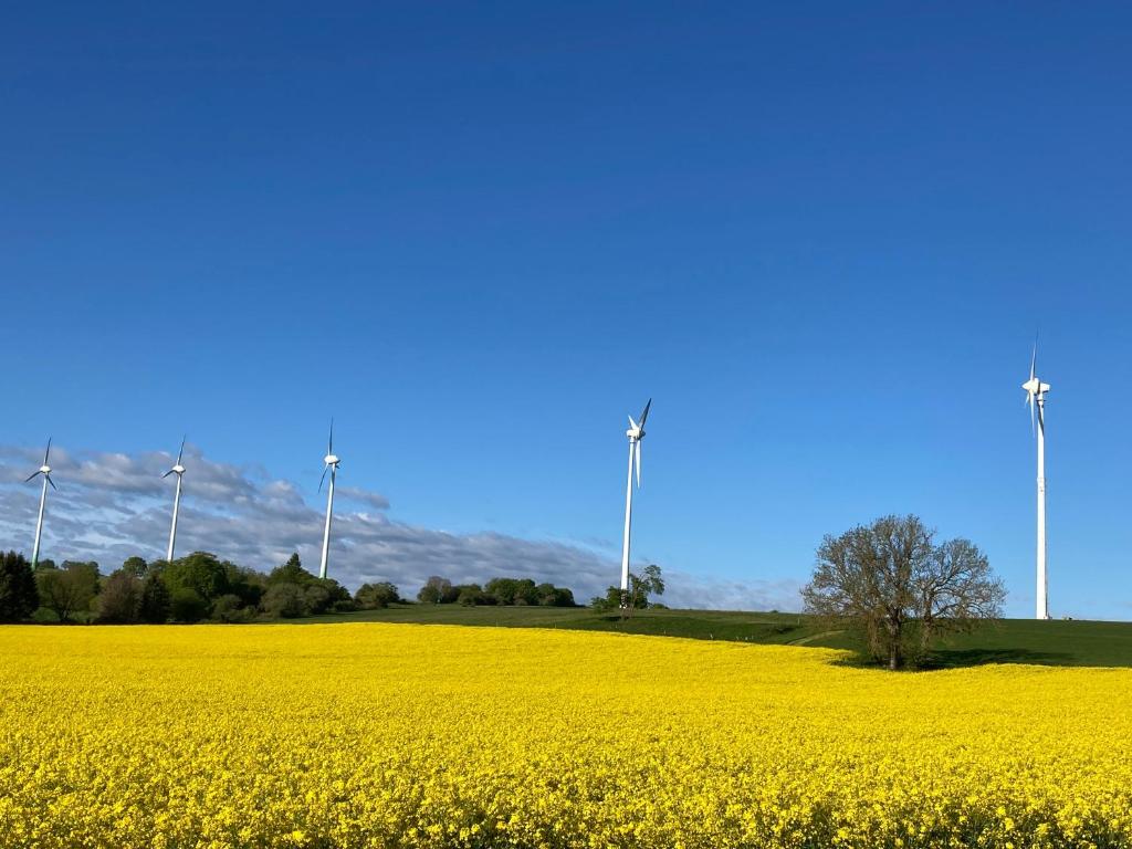 a yellow rapeseed field with windmills in the background at Zur Streuobstwiese 