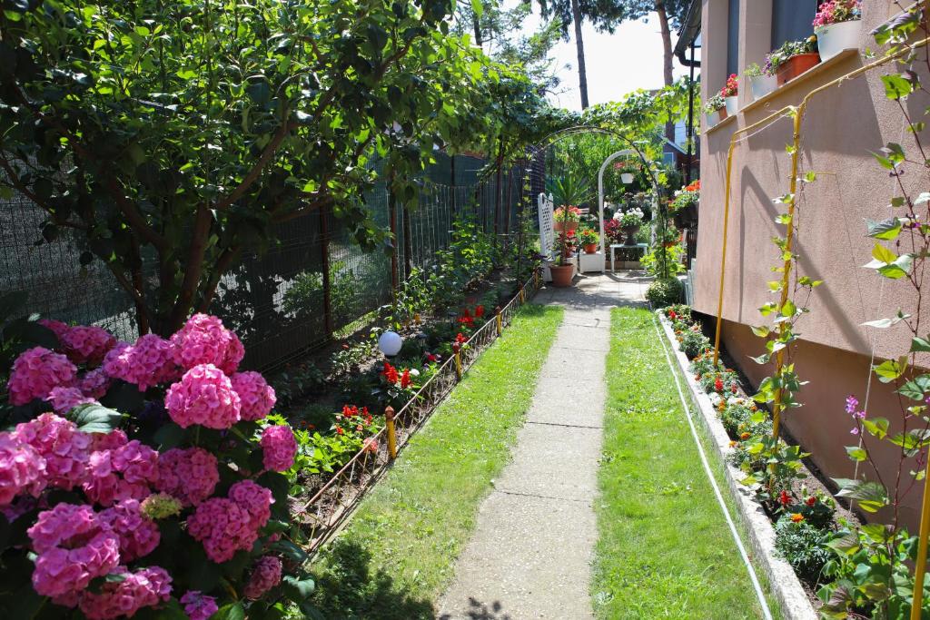 A garden outside Casa Ianna