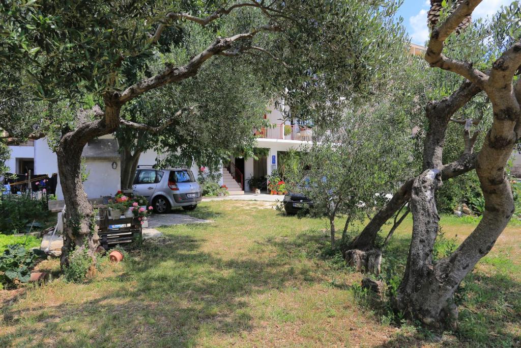 Zahrada ubytování Apartment Tucepi 2676a