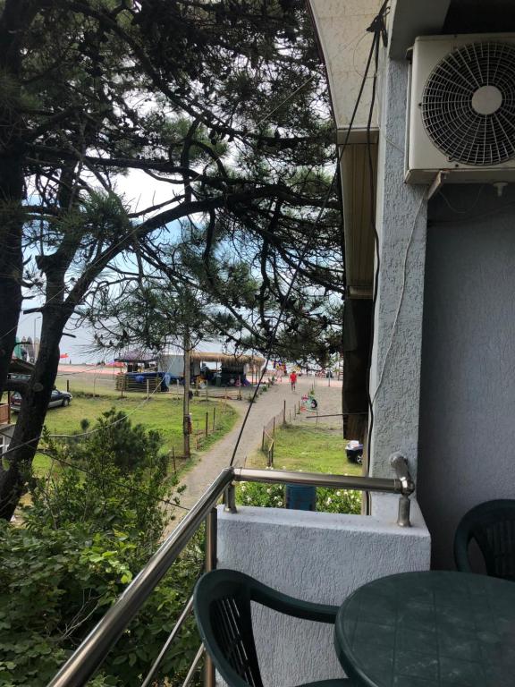 Příroda nedaleko hotelu