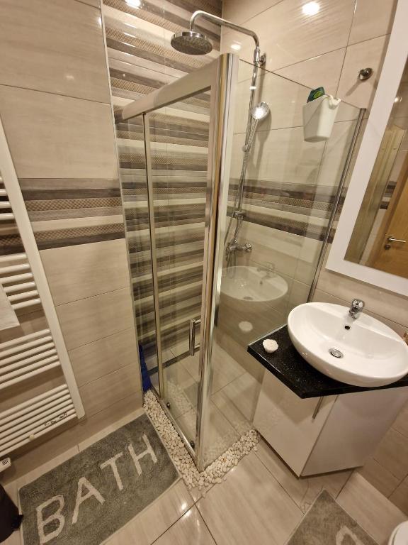 Koupelna v ubytování Apartment Lasta