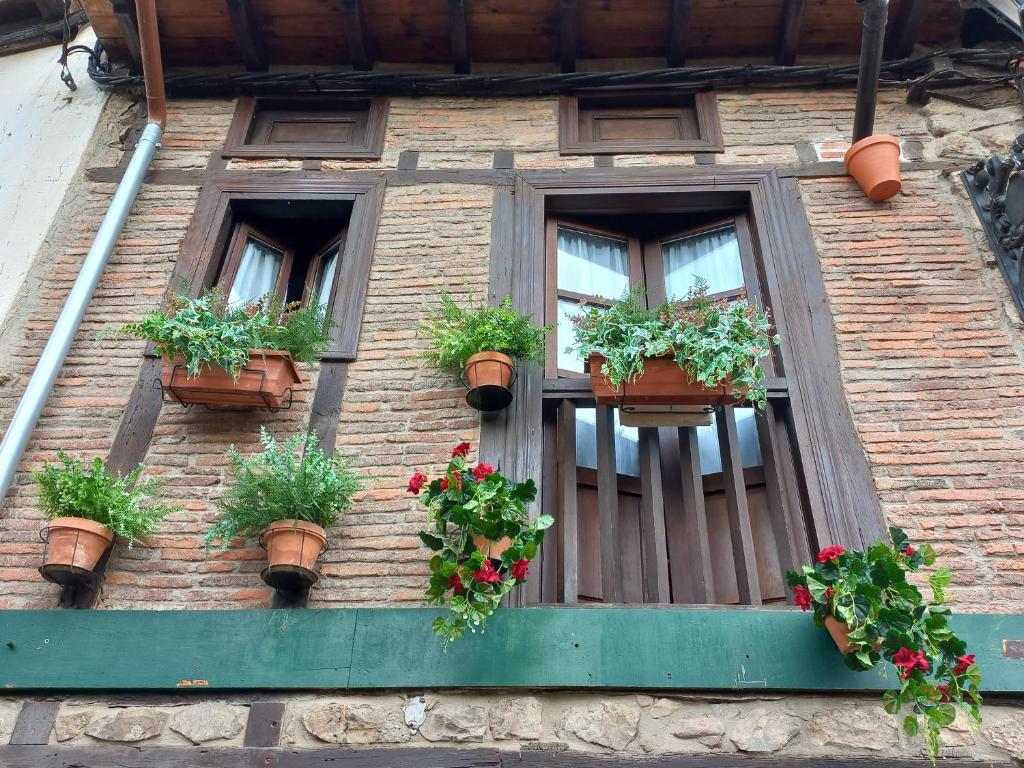 ein Fenster mit Topfpflanzen auf einem Backsteingebäude in der Unterkunft La casuca del sol in Potes