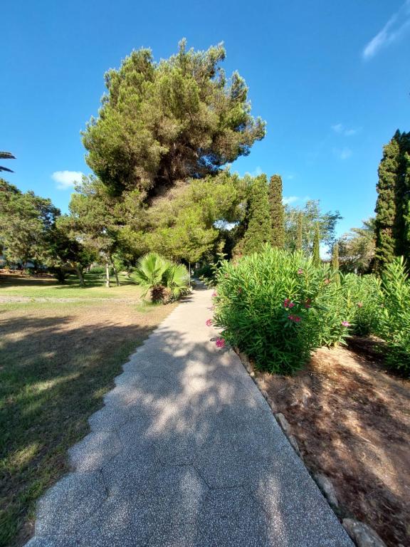 Zahrada ubytování Siesta Mar Apartamentos Ibiza