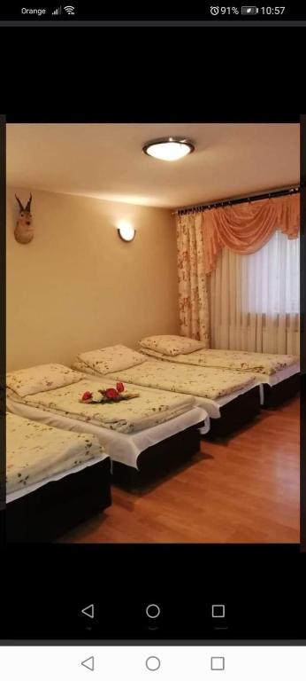 Agroturystyka Pod Lasem - Quadruple Room With Mountain View