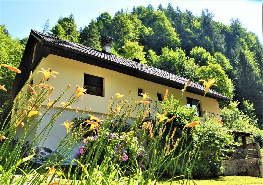 a cottage in the mountains with flowers in the foreground at LINCA Hiška pod slapom in Podvelka