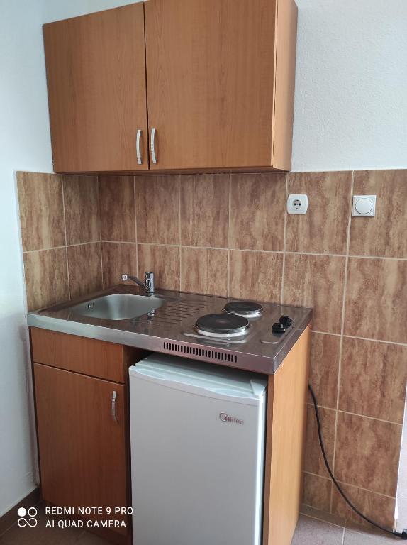 Kuchyň nebo kuchyňský kout v ubytování Apartmani Grozdanic Canj