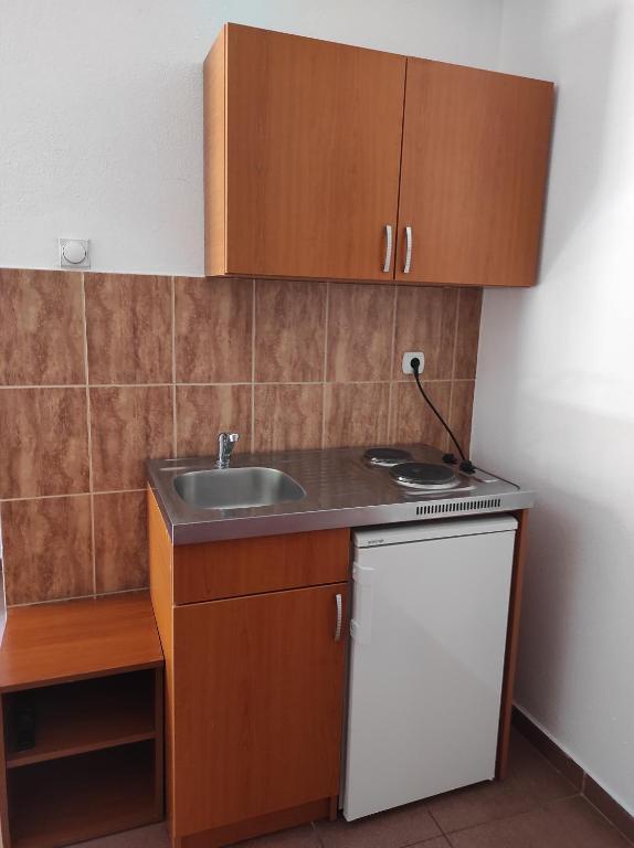 Kuchyň nebo kuchyňský kout v ubytování Apartmani Grozdanic Canj