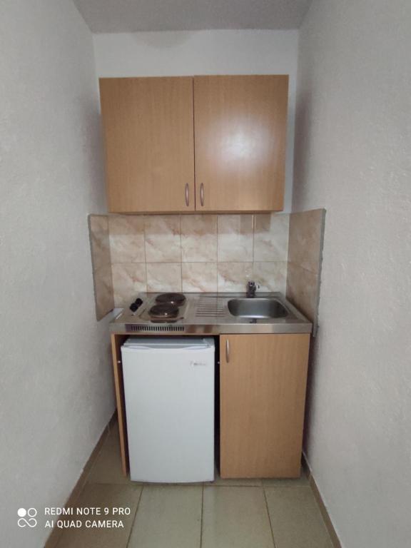 Kuchyň nebo kuchyňský kout v ubytování Apartmani Grozdanic Canj