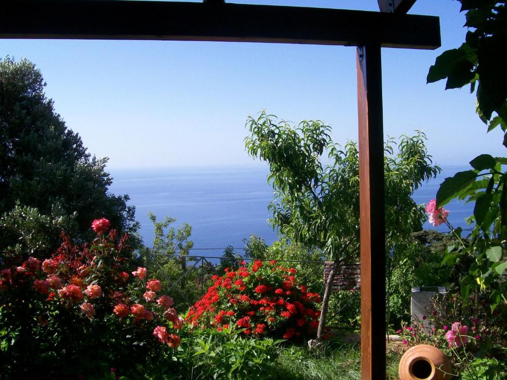 een raam met uitzicht op een tuin met bloemen bij ΤΟΥΡΙΣΤΙΚΕΣ ΕΠΙΠΛΩΜΕΝΕΣ ΚΑΤΟΙΚΙΕΣ φροσω χωριατη in Agios Kirykos
