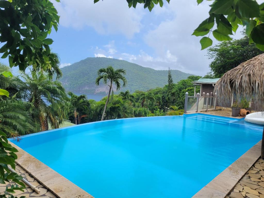 a swimming pool with a view of a mountain at Villa Dream in Deshaies