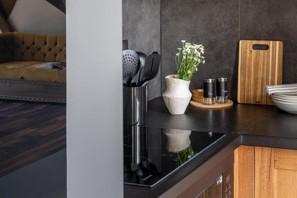 Apartamenty Polana pod Nosalem - zachód - 19