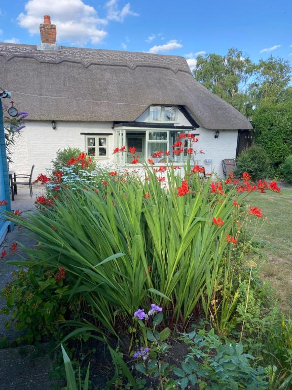 Zahrada ubytování Thatch Cottage, East Boldre nr Beaulieu and Lymington