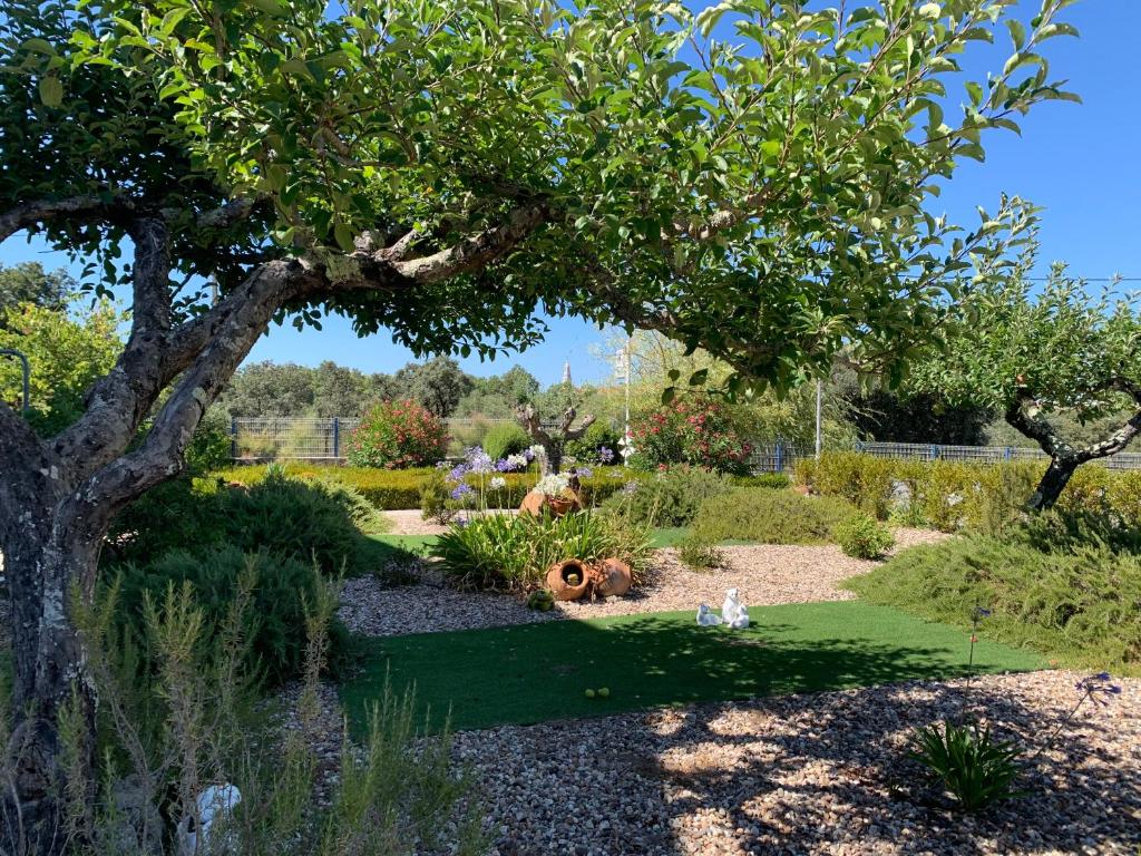 Hotel Mateus - Resim 25