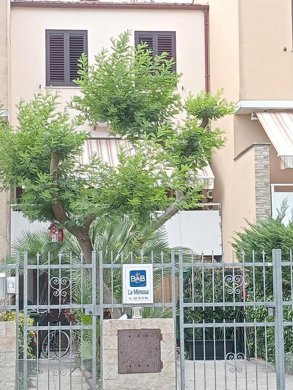 a tree behind a fence in front of a building at La Mimosa in Porto Garibaldi