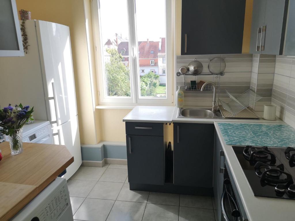 Grand duplex familial 113 m - Jardin - Colmar Gare - 4 Chambres – photo 39