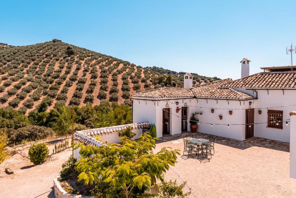 Príroda v okolí of the country house