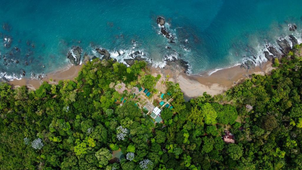 eine Luftansicht auf einen Strand und das Meer in der Unterkunft Corcovado Adventures in Drake