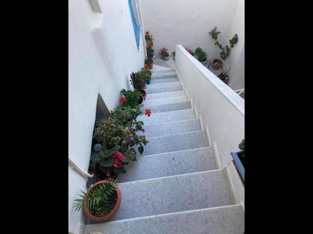 Zdjęcie z galerii obiektu Studio Seagull - By Old Market Street - Naxos Town w mieście Naksos