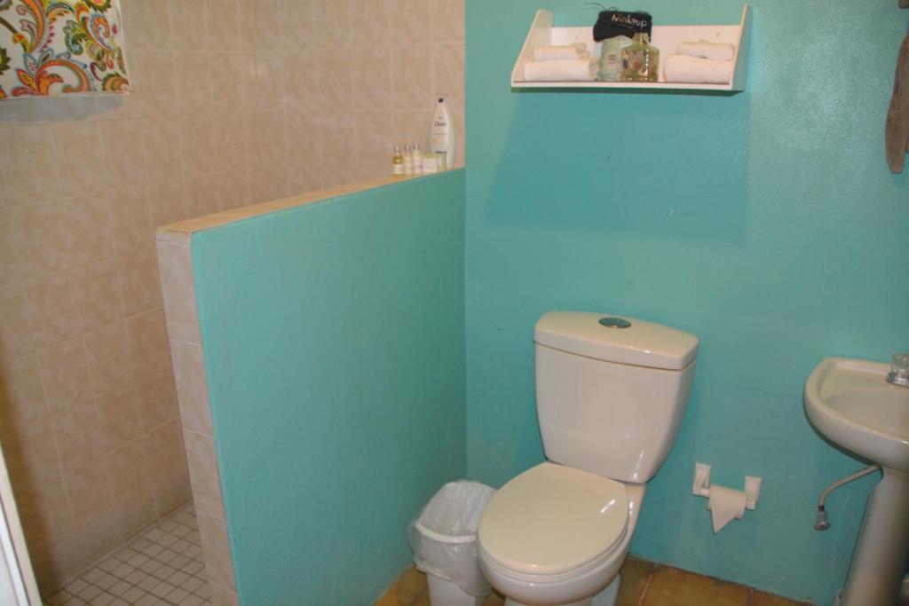 Koupelna v ubytování Palmetto Guesthouse