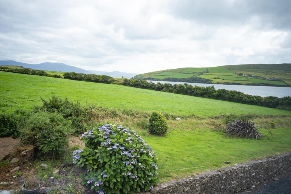 Half Door House, Dingle Updated 2024 Prices