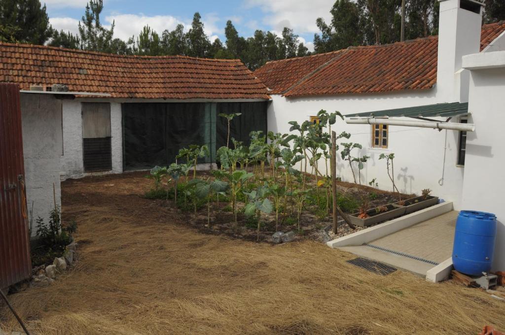 un jardín en el patio de una casa en Casa Mourato, en Alpedriz