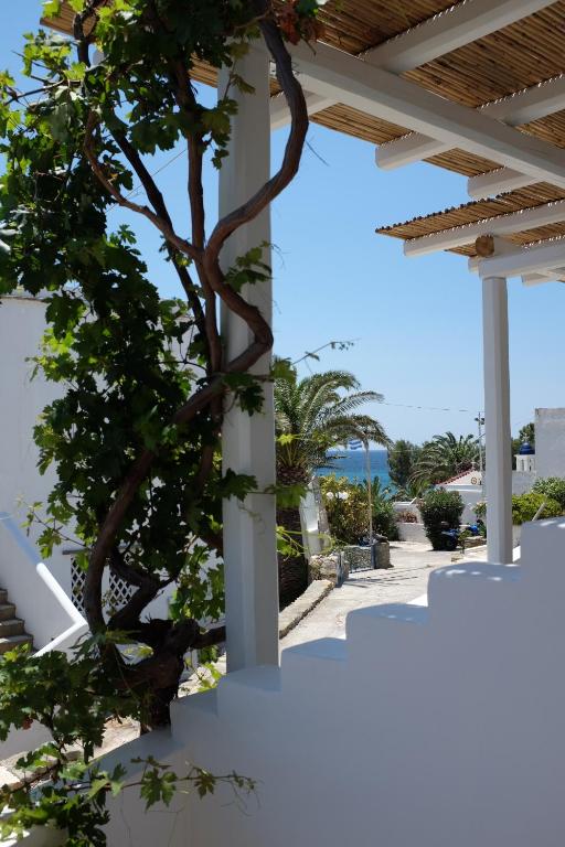 Fotografie z fotogalerie ubytování ARK Tinos v destinaci Agios Ioannis