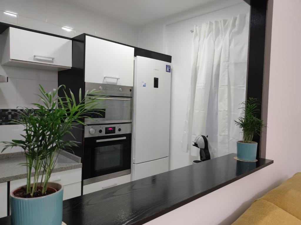 Kuchyň nebo kuchyňský kout v ubytování La Brisa apartamento