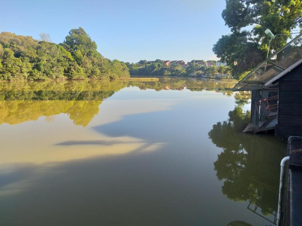 Agua Viva