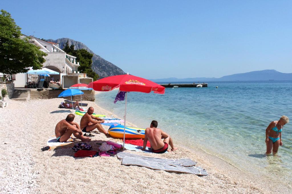 Príroda v okolí apartmánu