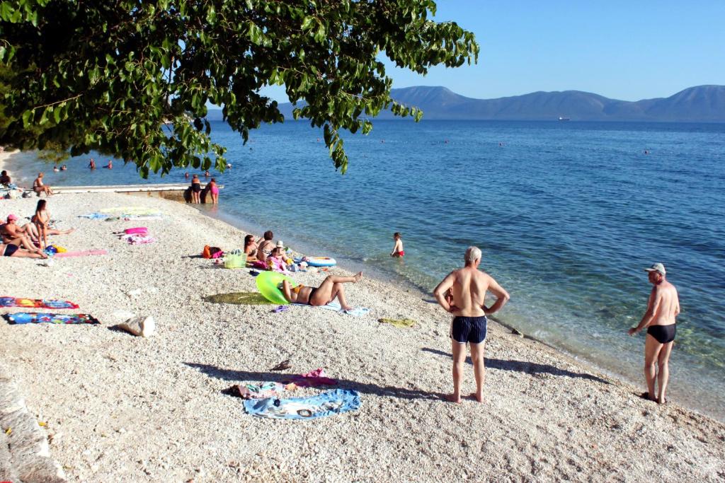 Príroda v okolí apartmánu